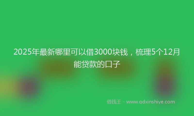 2025年最新哪里可以借3000块钱，梳理5个12月能贷款的口子
