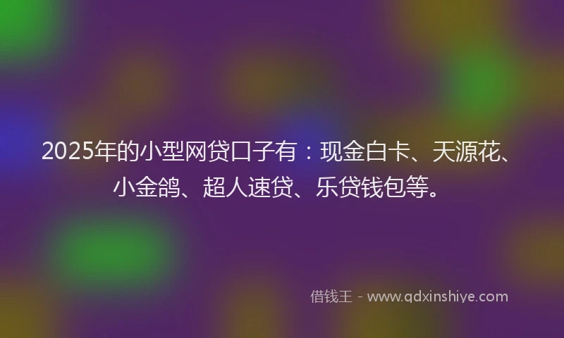 2025年的小型网贷口子有：现金白卡、天源花、小金鸽、超人速贷、乐贷钱包等。