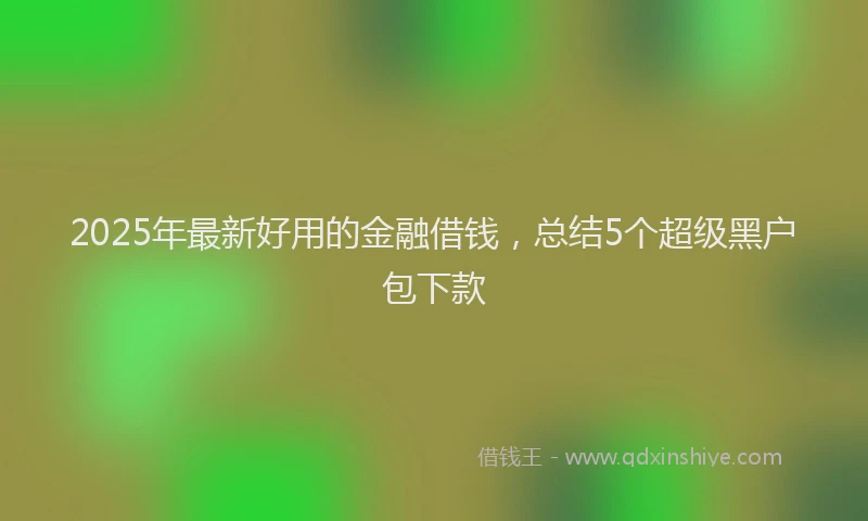 2025年最新好用的金融借钱，总结5个超级黑户包下款
