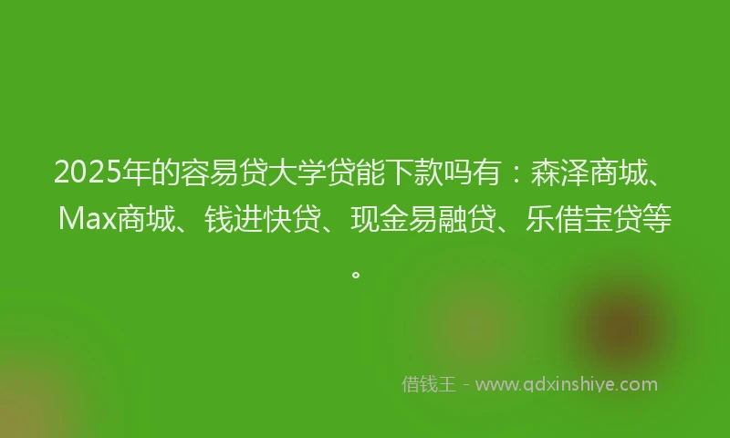2025年的容易贷大学贷能下款吗有：森泽商城、Max商城、钱进快贷、现金易融贷、乐借宝贷等。