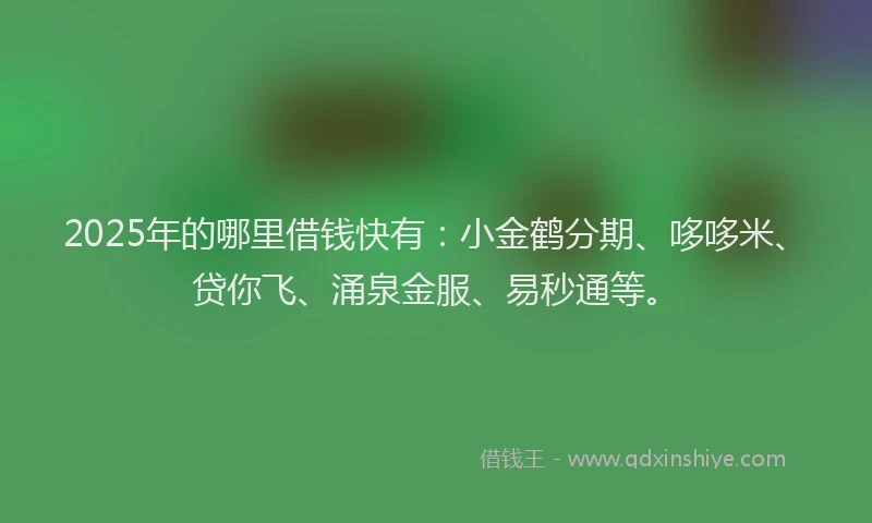 2025年的哪里借钱快有：小金鹤分期、哆哆米、贷你飞、涌泉金服、易秒通等。