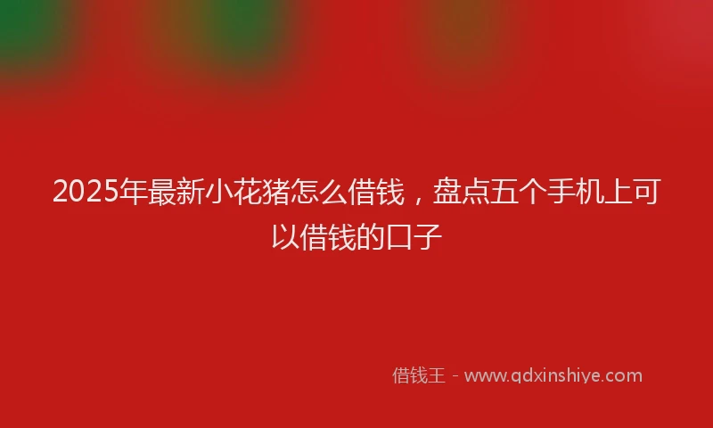 2025年最新小花猪怎么借钱，盘点五个手机上可以借钱的口子