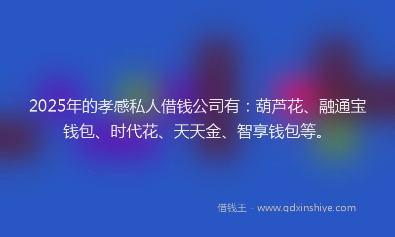 2025年的孝感私人借钱公司有：葫芦花、融通宝钱包、时代花、天天金、智享钱包等。