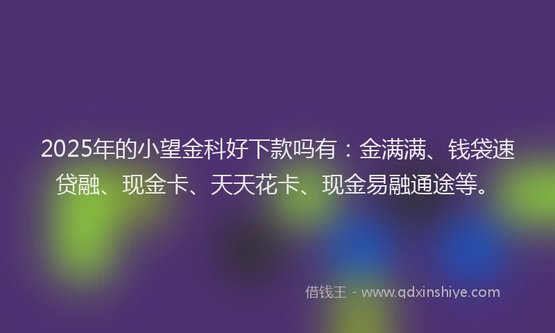 2025年的小望金科好下款吗有：金满满、钱袋速贷融、现金卡、天天花卡、现金易融通途等。