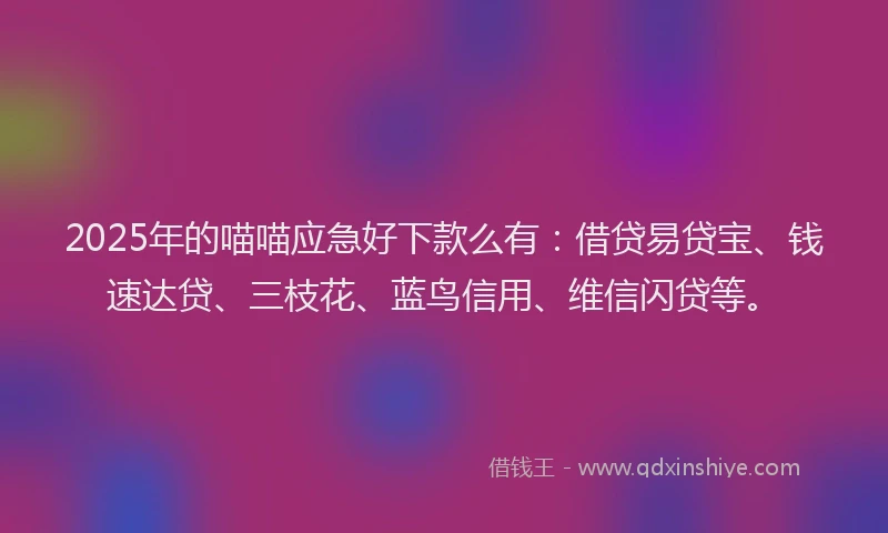 2025年的喵喵应急好下款么有：借贷易贷宝、钱速达贷、三枝花、蓝鸟信用、维信闪贷等。