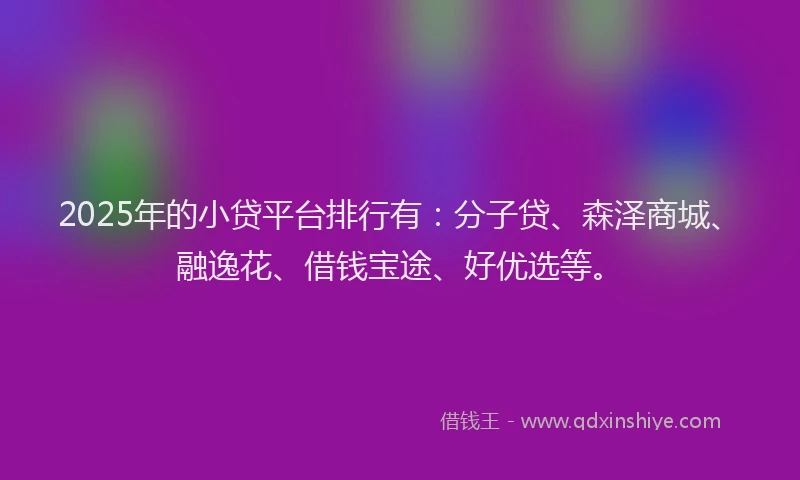 2025年的小贷平台排行有：分子贷、森泽商城、融逸花、借钱宝途、好优选等。