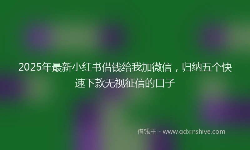 2025年最新小红书借钱给我加微信，归纳五个快速下款无视征信的口子
