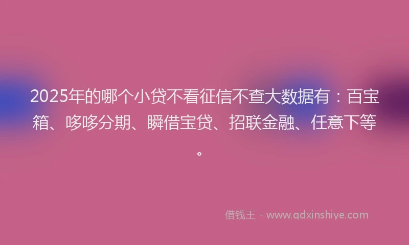 2025年的哪个小贷不看征信不查大数据有：百宝箱、哆哆分期、瞬借宝贷、招联金融、任意下等。
