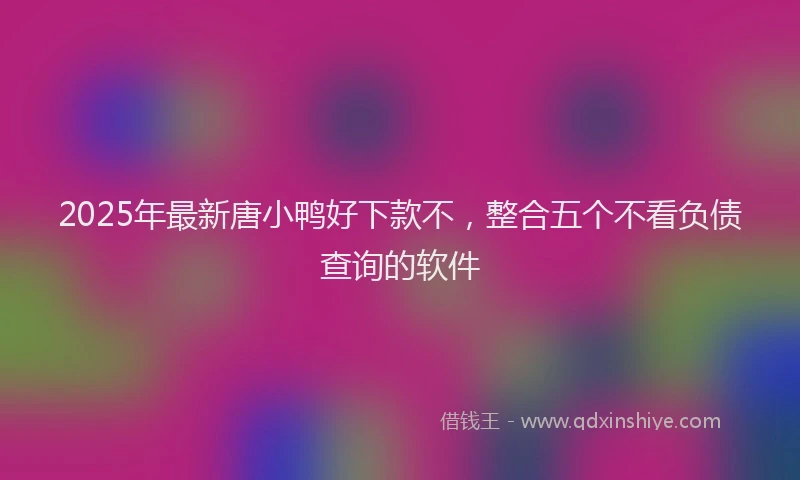 2025年最新唐小鸭好下款不，整合五个不看负债查询的软件