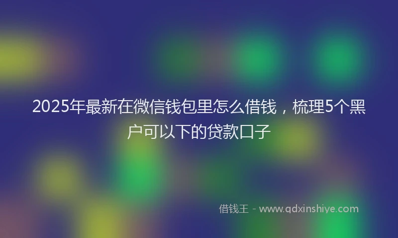 2025年最新在微信钱包里怎么借钱，梳理5个黑户可以下的贷款口子