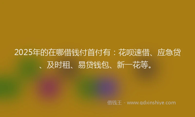 2025年的在哪借钱付首付有：花呗速借、应急贷、及时租、易贷钱包、新一花等。