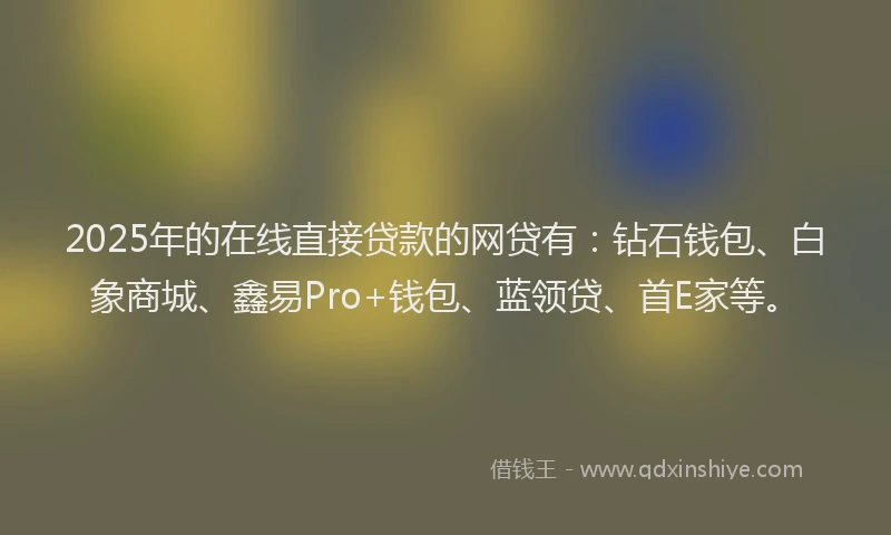 2025年的在线直接贷款的网贷有：钻石钱包、白象商城、鑫易Pro+钱包、蓝领贷、首E家等。