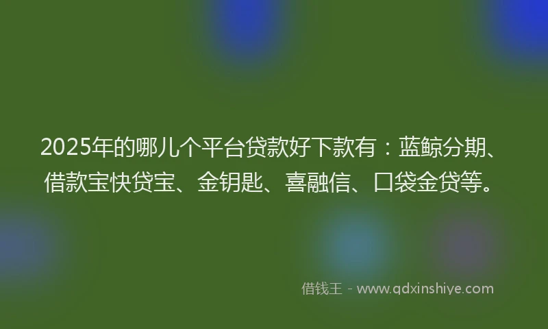 2025年的哪儿个平台贷款好下款有：蓝鲸分期、借款宝快贷宝、金钥匙、喜融信、口袋金贷等。