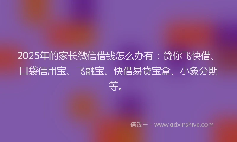 2025年的家长微信借钱怎么办有：贷你飞快借、口袋信用宝、飞融宝、快借易贷宝盒、小象分期等。