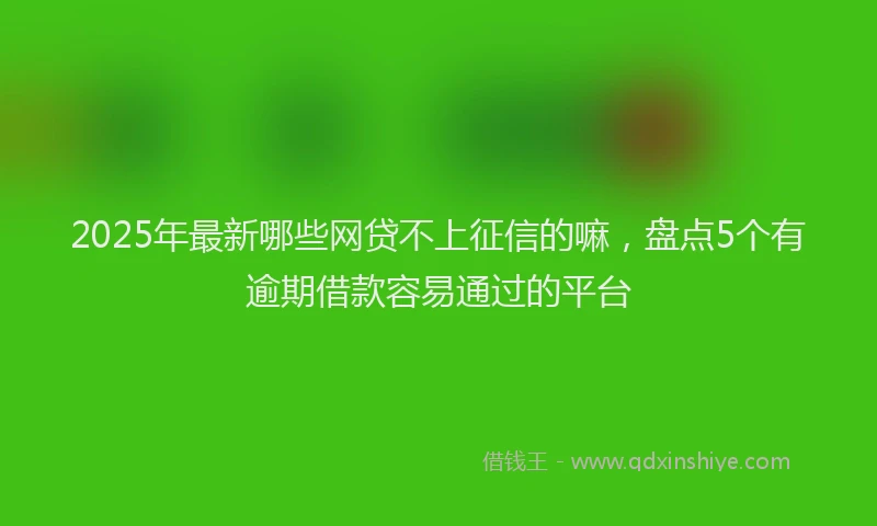 2025年最新哪些网贷不上征信的嘛，盘点5个有逾期借款容易通过的平台