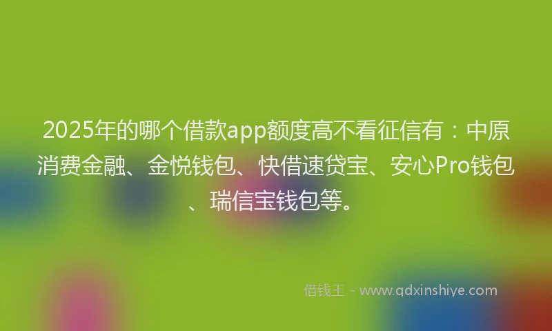 2025年的哪个借款app额度高不看征信有：中原消费金融、金悦钱包、快借速贷宝、安心Pro钱包、瑞信宝钱包等。