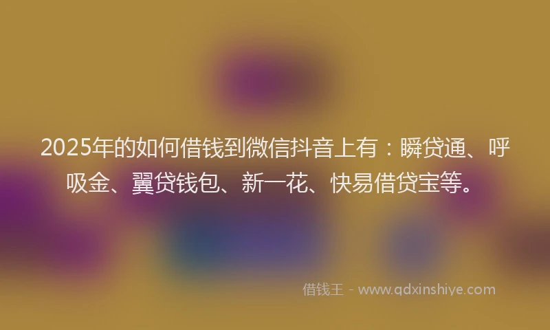 2025年的如何借钱到微信抖音上有：瞬贷通、呼吸金、翼贷钱包、新一花、快易借贷宝等。
