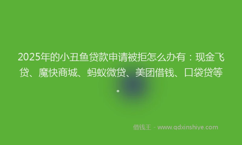 2025年的小丑鱼贷款申请被拒怎么办有：现金飞贷、魔快商城、蚂蚁微贷、美团借钱、口袋贷等。