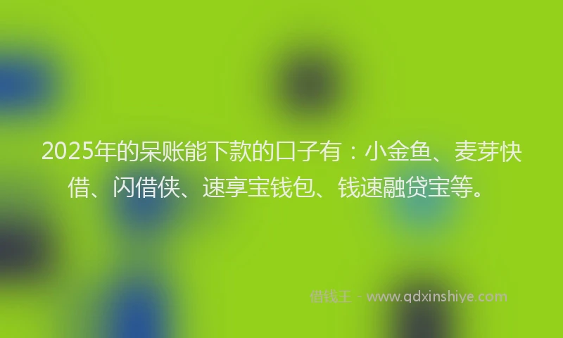 2025年的呆账能下款的口子有：小金鱼、麦芽快借、闪借侠、速享宝钱包、钱速融贷宝等。