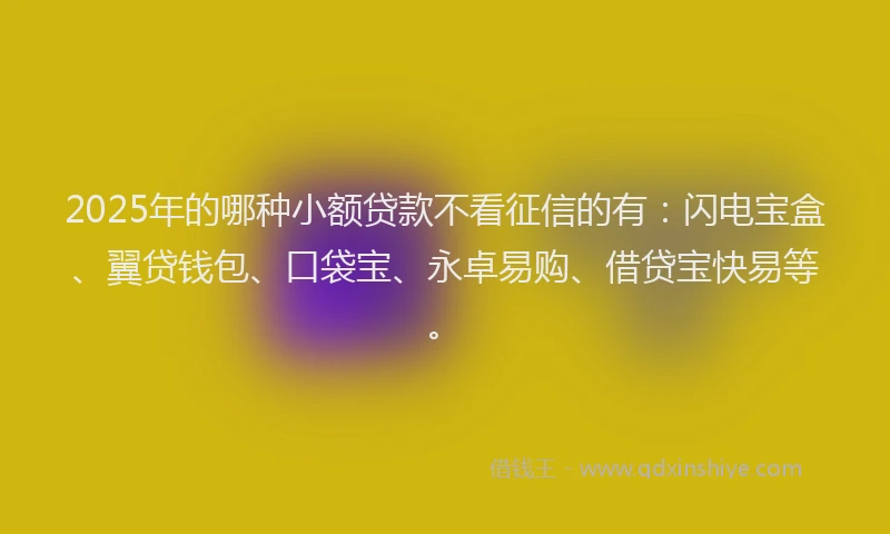 2025年的哪种小额贷款不看征信的有：闪电宝盒、翼贷钱包、口袋宝、永卓易购、借贷宝快易等。