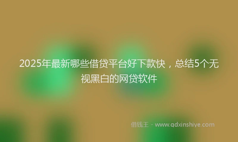 2025年最新哪些借贷平台好下款快，总结5个无视黑白的网贷软件