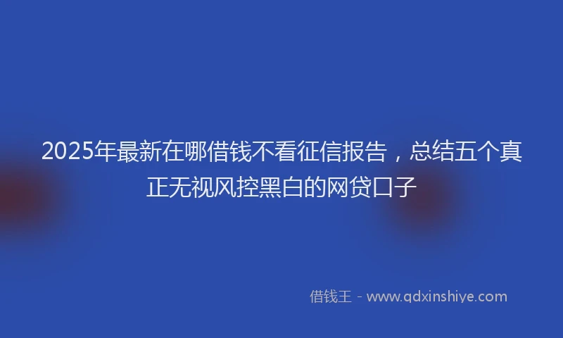 2025年最新在哪借钱不看征信报告，总结五个真正无视风控黑白的网贷口子
