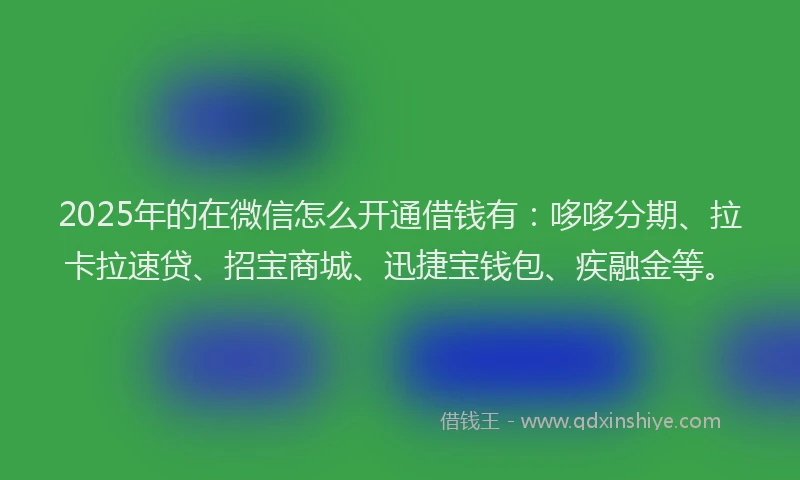 2025年的在微信怎么开通借钱有：哆哆分期、拉卡拉速贷、招宝商城、迅捷宝钱包、疾融金等。