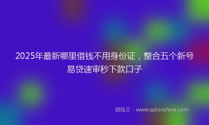 2025年最新哪里借钱不用身份证，整合五个新号易贷速审秒下款口子