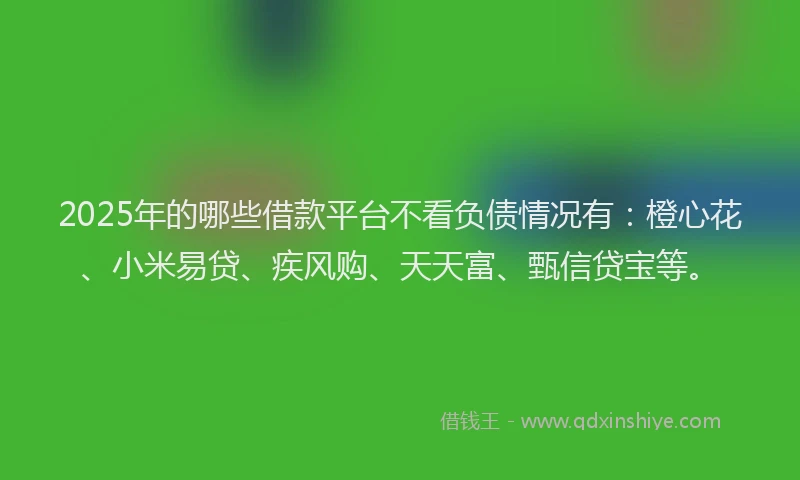 2025年的哪些借款平台不看负债情况有：橙心花、小米易贷、疾风购、天天富、甄信贷宝等。