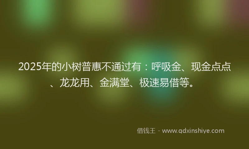 2025年的小树普惠不通过有：呼吸金、现金点点、龙龙用、金满堂、极速易借等。