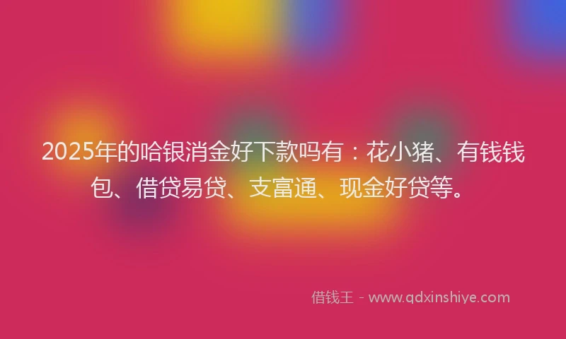 2025年的哈银消金好下款吗有：花小猪、有钱钱包、借贷易贷、支富通、现金好贷等。
