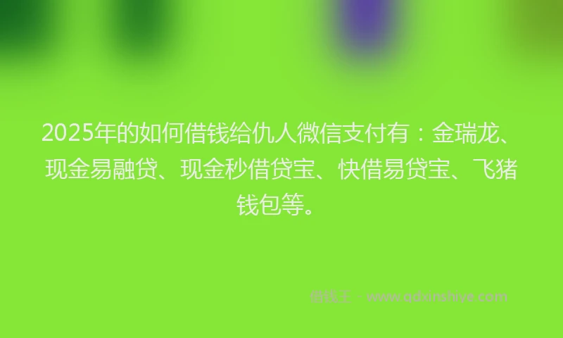 2025年的如何借钱给仇人微信支付有：金瑞龙、现金易融贷、现金秒借贷宝、快借易贷宝、飞猪钱包等。
