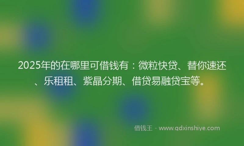 2025年的在哪里可借钱有：微粒快贷、替你速还、乐租租、紫晶分期、借贷易融贷宝等。