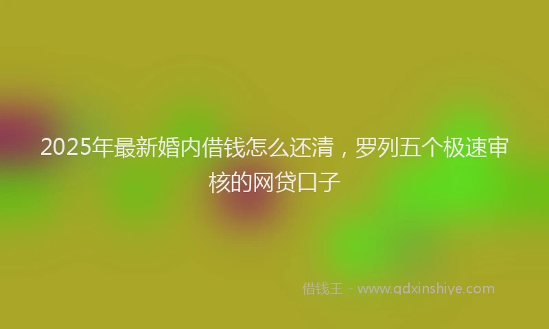 2025年最新婚内借钱怎么还清，罗列五个极速审核的网贷口子