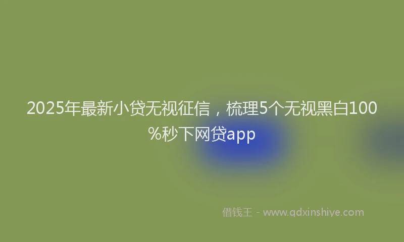 2025年最新小贷无视征信，梳理5个无视黑白100%秒下网贷app