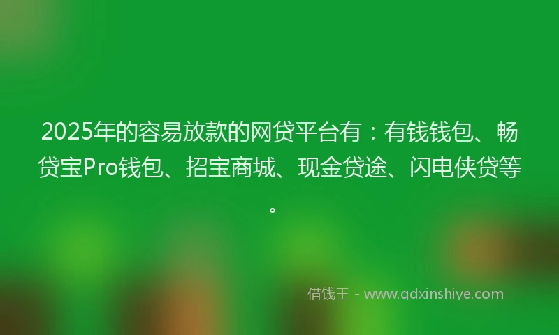 2025年的容易放款的网贷平台有：有钱钱包、畅贷宝Pro钱包、招宝商城、现金贷途、闪电侠贷等。