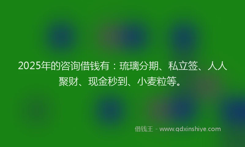 2025年的咨询借钱有：琉璃分期、私立签、人人聚财、现金秒到、小麦粒等。