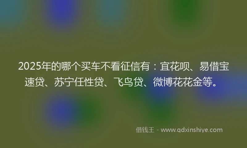 2025年的哪个买车不看征信有：宜花呗、易借宝速贷、苏宁任性贷、飞鸟贷、微博花花金等。