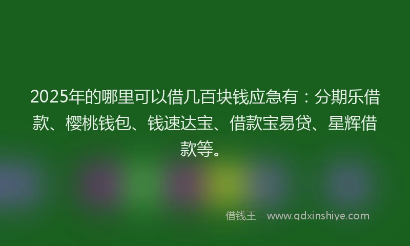 2025年的哪里可以借几百块钱应急有：分期乐借款、樱桃钱包、钱速达宝、借款宝易贷、星辉借款等。