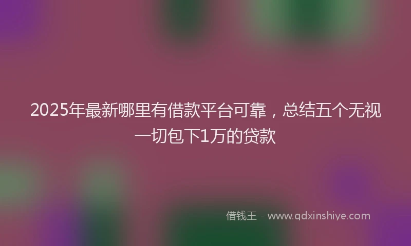2025年最新哪里有借款平台可靠，总结五个无视一切包下1万的贷款