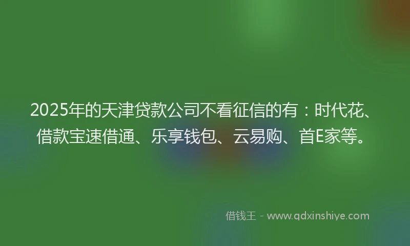2025年的天津贷款公司不看征信的有：时代花、借款宝速借通、乐享钱包、云易购、首E家等。