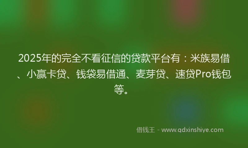 2025年的完全不看征信的贷款平台有：米族易借、小赢卡贷、钱袋易借通、麦芽贷、速贷Pro钱包等。