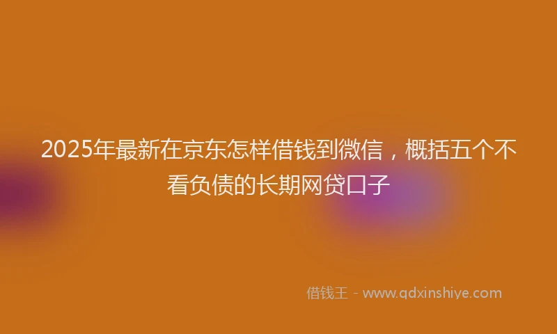 2025年最新在京东怎样借钱到微信，概括五个不看负债的长期网贷口子