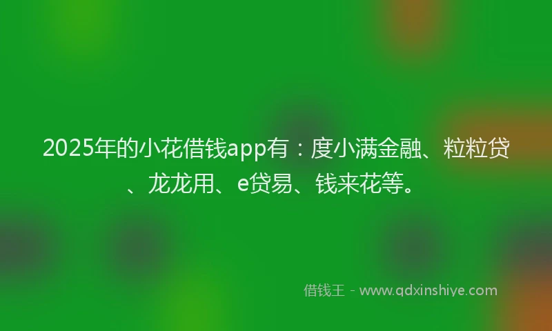 2025年的小花借钱app有：度小满金融、粒粒贷、龙龙用、e贷易、钱来花等。