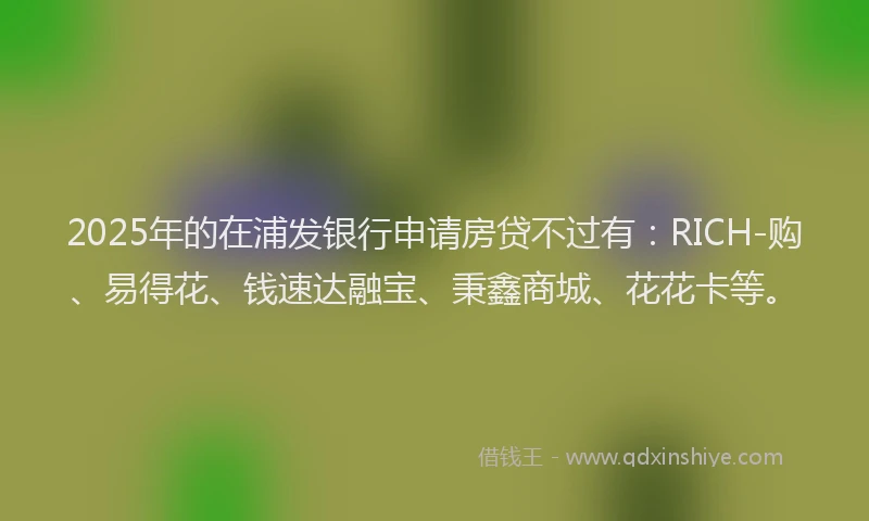 2025年的在浦发银行申请房贷不过有：RICH-购、易得花、钱速达融宝、秉鑫商城、花花卡等。