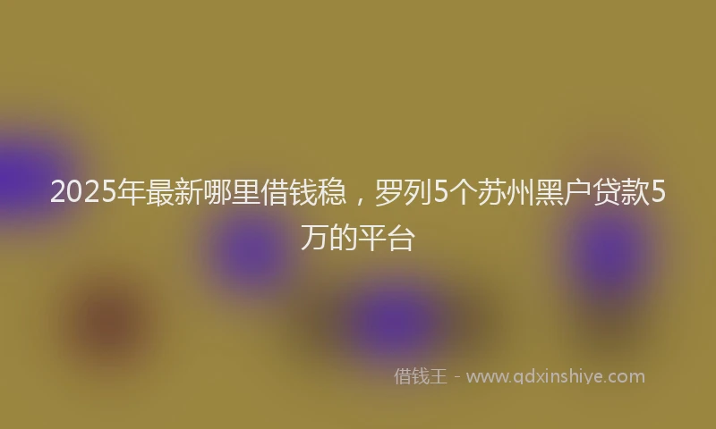 2025年最新哪里借钱稳，罗列5个苏州黑户贷款5万的平台