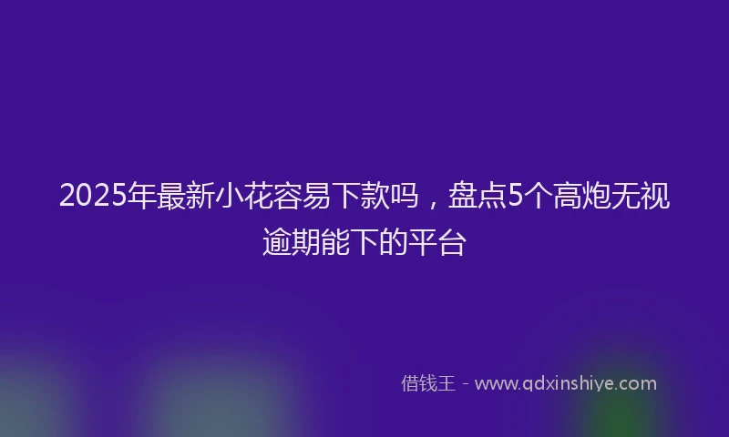 2025年最新小花容易下款吗，盘点5个高炮无视逾期能下的平台