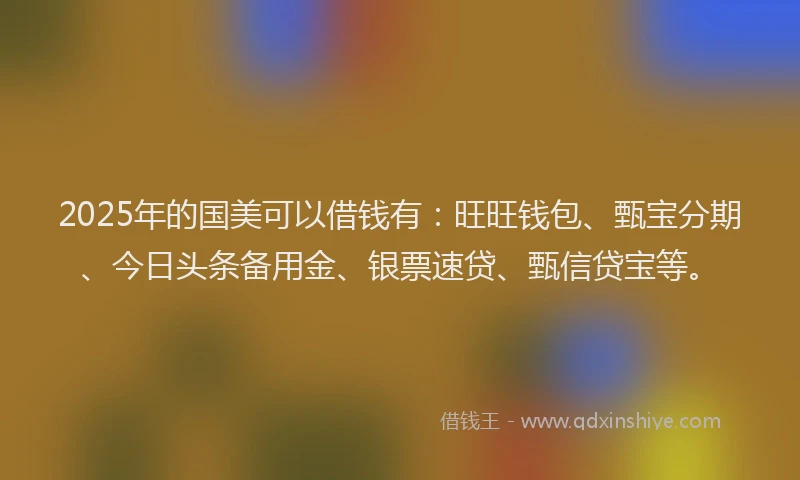 2025年的国美可以借钱有：旺旺钱包、甄宝分期、今日头条备用金、银票速贷、甄信贷宝等。