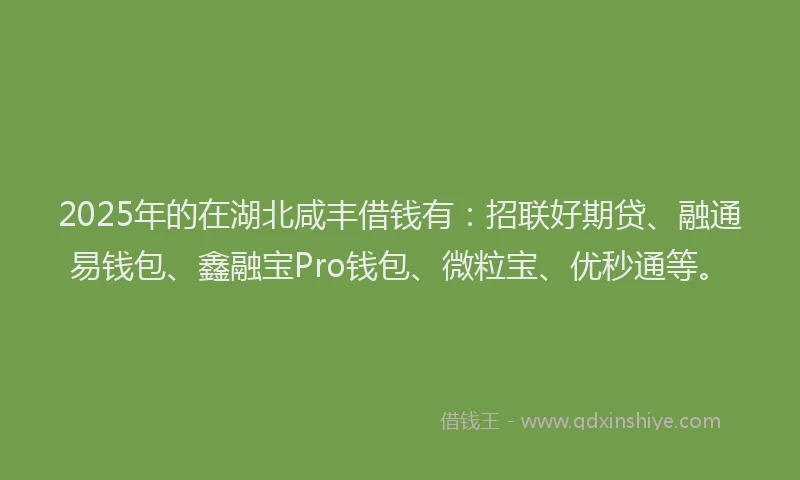 2025年的在湖北咸丰借钱有：招联好期贷、融通易钱包、鑫融宝Pro钱包、微粒宝、优秒通等。
