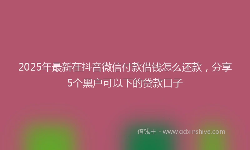 2025年最新在抖音微信付款借钱怎么还款，分享5个黑户可以下的贷款口子